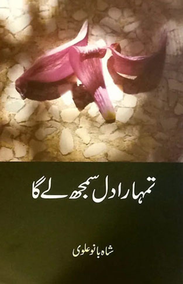 Tumhara Dil Samajh Ley Ga